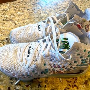 Lebron Nike Basketball shoes